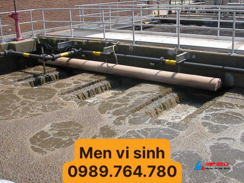 men vi sinh xử lý nước thải