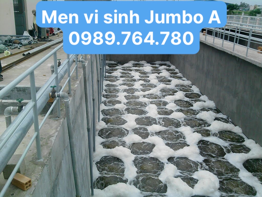 Men vi sinh hiếu khí Jumbo-A