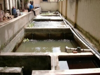 Nhận vận hành trạm xử lý nước thải ở Tp Hồ Chí Minh, Bình Dương, Đồng Nai, Tây Ninh, Bình Phước và các địa phương khác